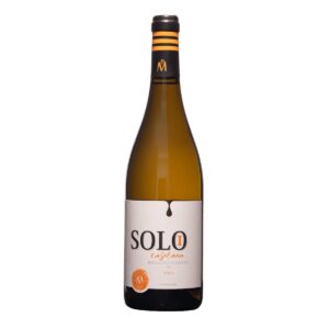 SOLO I 2022 – PAIVA